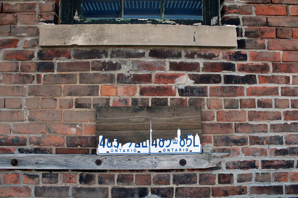 Toronto Skyline Wall Art